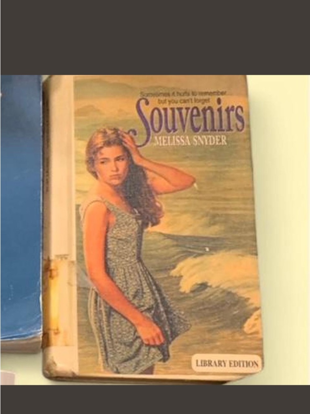 Souvenirs by Melissa Snyder - Green Cover Paperback